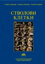 Стволови клетки