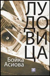 Лудовица