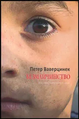 Безмайчинство