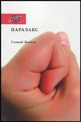 Паралакс
