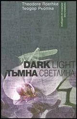 Тъмна светлина | Dark Light