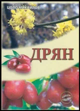 Дрян