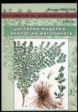 Култивиране на ароматни растения, книга 2: Цитрална мащерка - аналог на маточината
