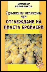 Хуманното отношение при отглеждане на пилета бройлери