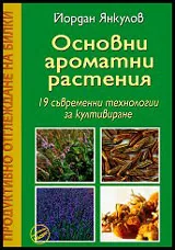 Основни ароматни растения | 19 съвременни технологии за култивиране