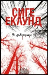 В лабиринта