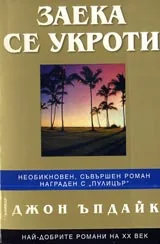 Заека се укроти