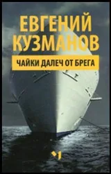 Чайки далеч от брега