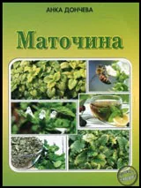 Маточина