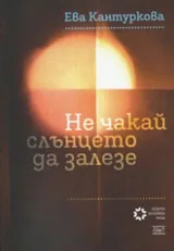 Не чакай слънцето да залезе | Политически роман