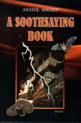 A Soothsaying book