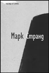 Частица от бурята