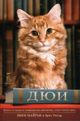 Дюи