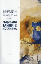 Сънувани тайни в Истанбул