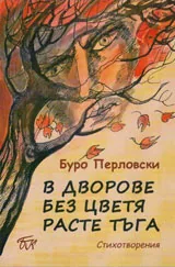 В дворовете без цветя расте тъга