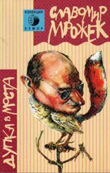 Дупка в моста