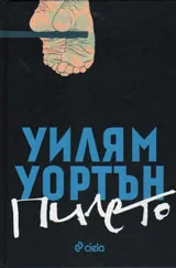 Пилето