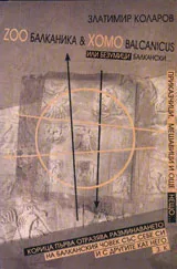 Zoo балканика & Xomo Balcanicus