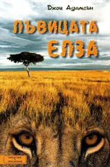 Лъвицата Елза