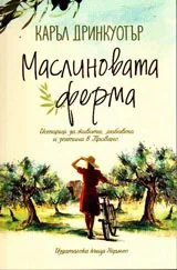 Маслиновата ферма