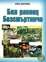 Бял равнец. Безсмъртниче