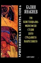 Християнска култура. Том 6 - Три екзистенциално-философски студии. Злото, страданието, възкресен
