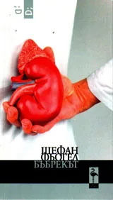Бъбрекът