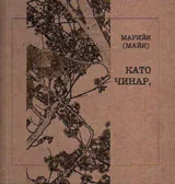 Като чинар, поникнал между плочите на тротоара