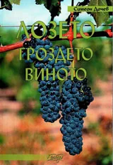 Лозето, гроздето, виното