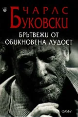 Брътвежи от обикновена лудост