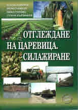 Отглеждане на царевица. Силажиране
