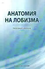 Анатомия на лобизма