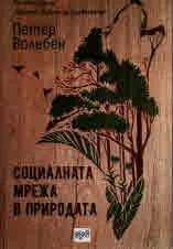 Социалната мрежа в природата