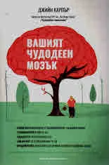 Вашият чудодеен мозък