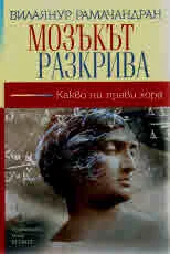 Мозъкът разкрива