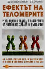 Ефектът на теломерите