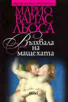 Възхвала на мащехата
