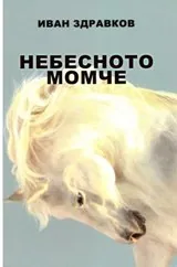 Небесното момче