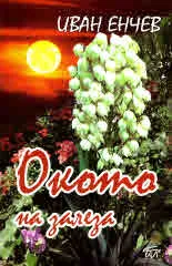 Окото на залеза