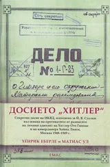 Досието
