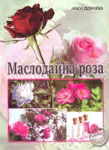 Маслодайна роза