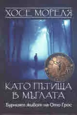 Като пътища в мъгла. Бурният живот на Ото Грос