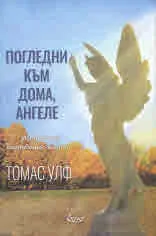 Погледни към дома, ангеле: История на погребания живот