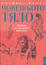 Човешкото тяло. Учебник по пластична анатомия
