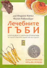 Лечебните гъби