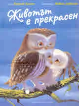 Животът е прекрасен