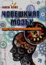 Човешкият мозък. Лесен наръчник по невропсихология