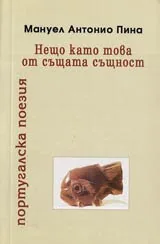 Нещо като това от същата същност