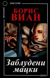 Заблудени мацки