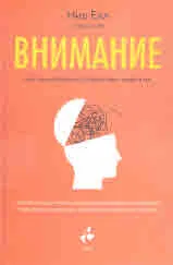 Внимание. Как концентрацията управлява живота ни